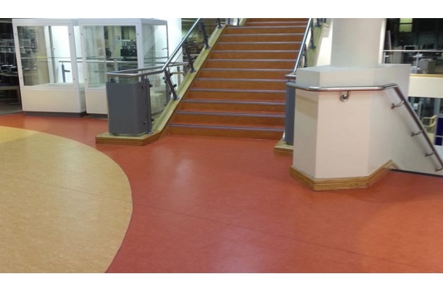 Flooring Ideas -