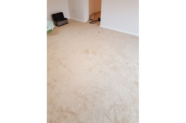 Carpet | Vinyl | Images | Worcestershire | West Midlands -