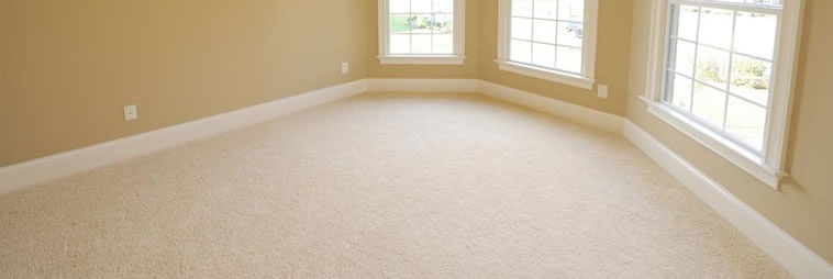 Carpet -